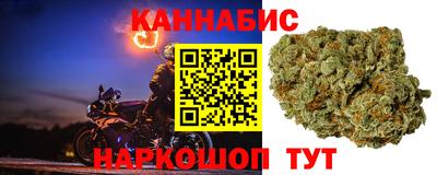 прущие грибы Можга
